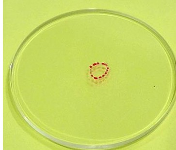 ��ҳ-ŷ½ע��-eHR����ϵͳ