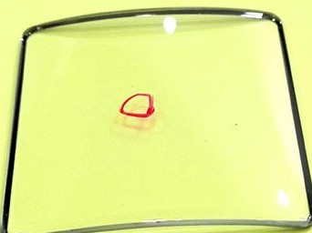 ��ҳ-ŷ½ע��-eHR����ϵͳ